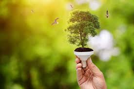 groene energieleveranciers